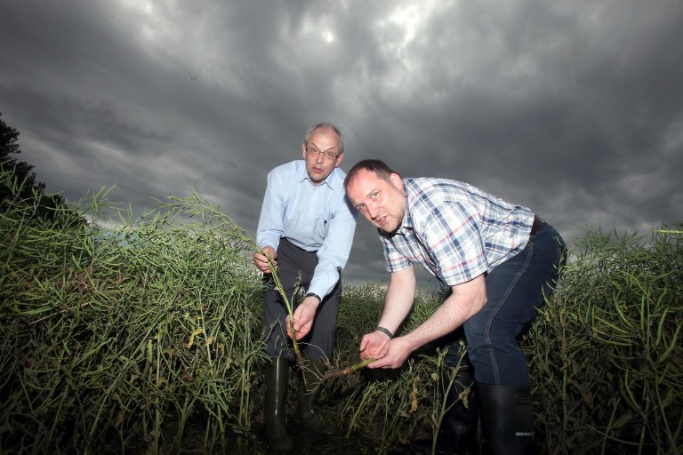 Sachsen Anhalt Flutschaeden und Flutschaeden
