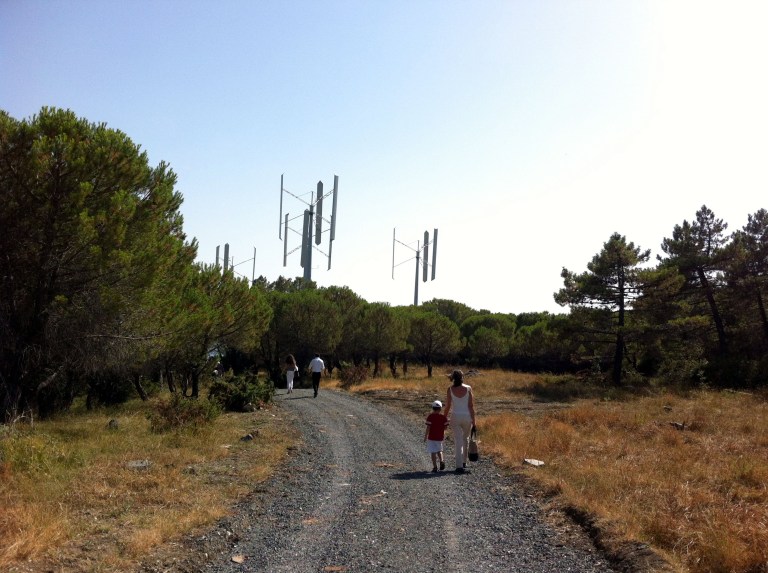 Windenergie und Umweltbewusstsein