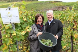 Poltik in die Weinproduktion