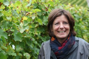 Poltik in die Weinproduktion