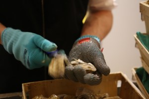 Ball der Wirtschaft in Berlin